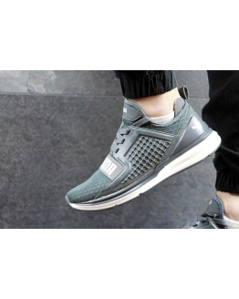Мужские кроссовки Puma IGNITE Limitless серые