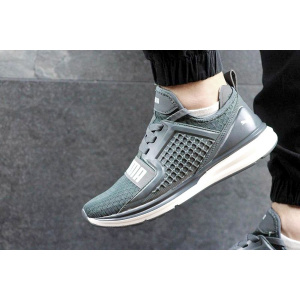 Чоловічі кросівки Puma IGNITE Limitless сірі
