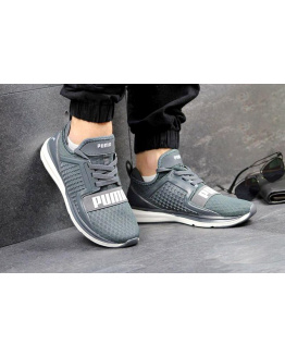 Мужские кроссовки Puma IGNITE Limitless серые
