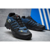 Мужские ботинки на меху Adidas Terrex Swift R GTX Mid голубые с черным