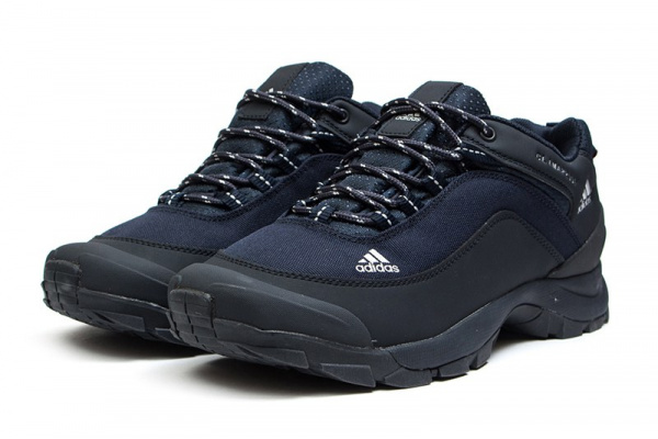 Мужские кроссовки для активного отдыха Adidas Climaproof Low темно-синие