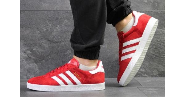 muzhskie-krossovki-adidas-