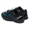 Купить Мужские кроссовки Reebok All Terrain Extreme GTX черные с синим