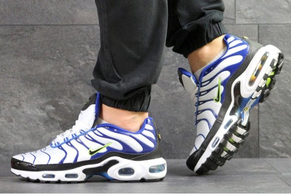 Мужские кроссовки Nike Air Max Plus TN белые с синим