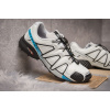 Купить Мужские кроссовки Salomon Speedcross 3 светло-серые