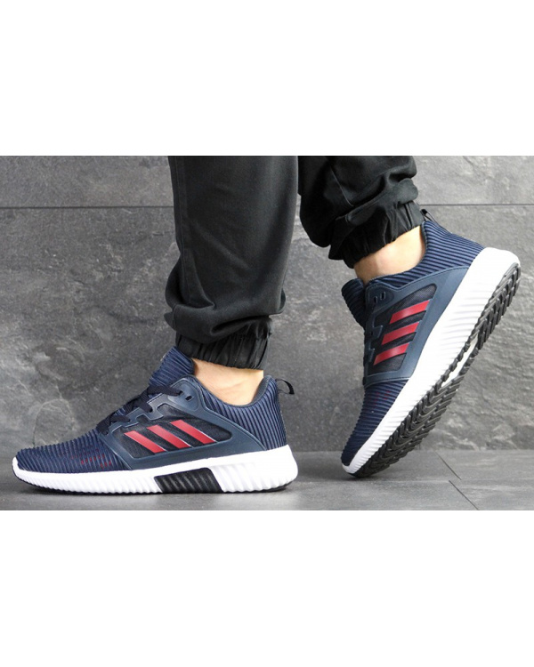 Чоловічі кросівки Adidas Climacool Cm темно-сині