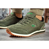 Купить Мужские кроссовки Lacoste Sneaker зеленые