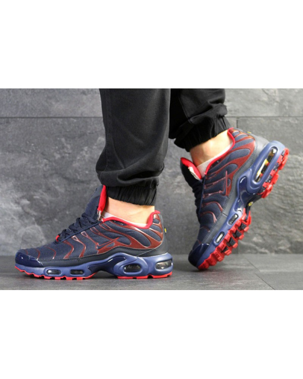 Чоловічі кросівки Nike Air Max Plus TN сині з червоним