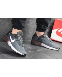 Чоловічі кросівки Nike Air Zoom Structure 21 сірі