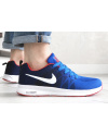 Чоловічі кросівки Nike Air Zoom сині
