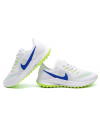 Купить Чоловічі кросівки Nike Zoom білі з синім и салатовым