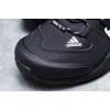 Купить Мужские ботинки на меху Adidas Terrex Fast R Mid GTX черные с белым