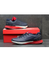 Чоловічі кросівки Nike Lunarlon темно-сині з червоним