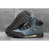 Мужские ботинки Adidas Jake Blauvelt Boot 2.0 темно-голубые