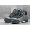 Купить Мужские ботинки Adidas Jake Blauvelt Boot 2.0 темно-голубые