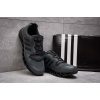 Купить Мужские кроссовки для активного отдыха Adidas Terrex серые