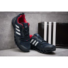 Мужские кроссовки для активного отдыха Adidas Terrex темно-синие с красным