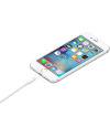 Купить Кабель Apple Lightning to USB Cable (1m)