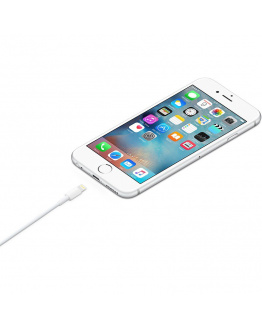 Кабель Apple Lightning to USB Cable (1m)