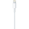 Купить Кабель Apple Lightning to USB Cable (1m)
