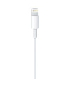 Купить Кабель Apple Lightning to USB Cable (1m)