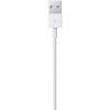 Купить Кабель Apple Lightning to USB Cable (1m)