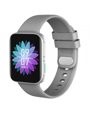 Смарт часы GT9 43mm grey